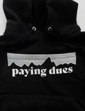 Paidagonia Hoodie