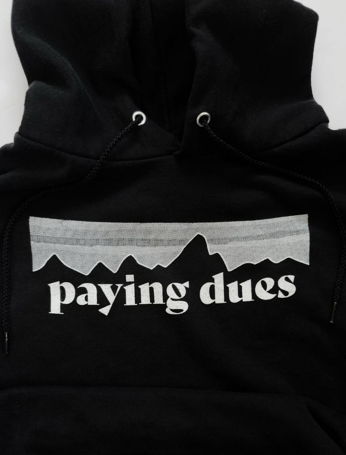 Paidagonia Hoodie